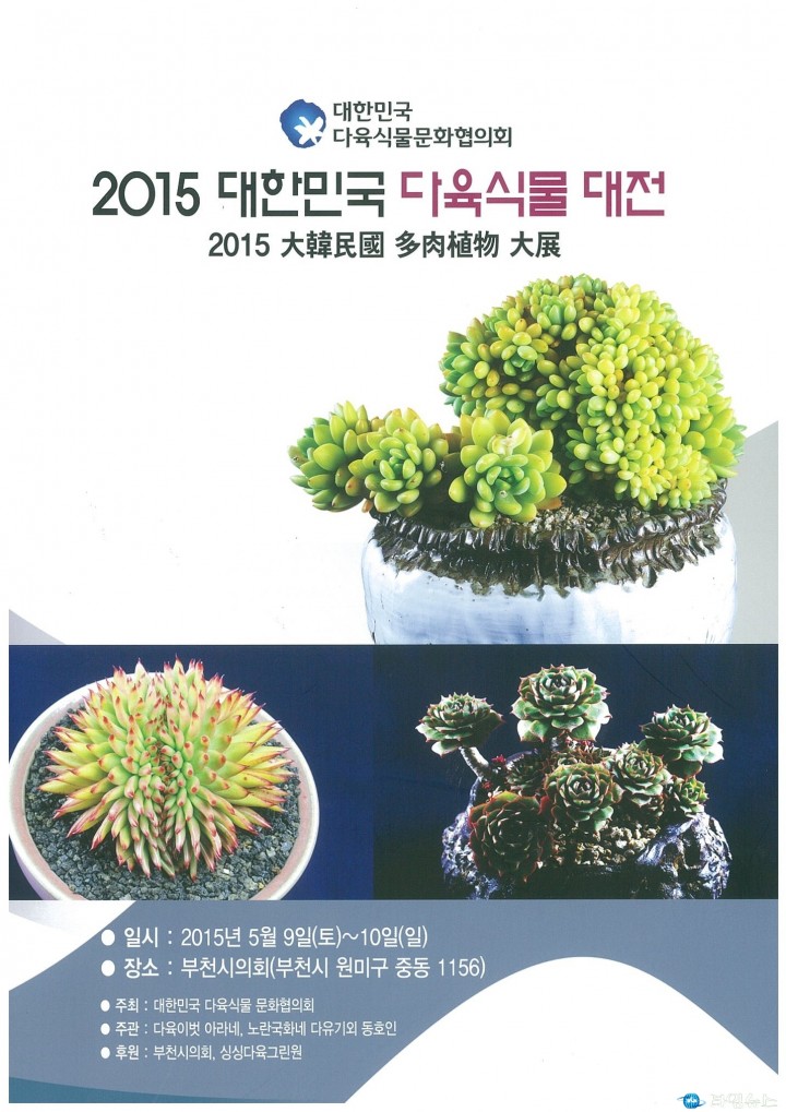 부천시, 다육식물 250여종 전시개최