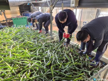 충북도, 폭설 피해 화훼 농가 긴급 지원 나서