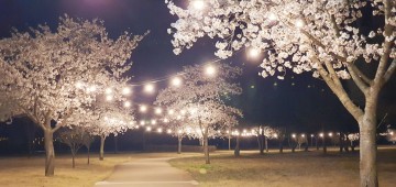 경천섬 야간 경관조명 확보를 통한 안전하고 아름다운 산책공간 제공