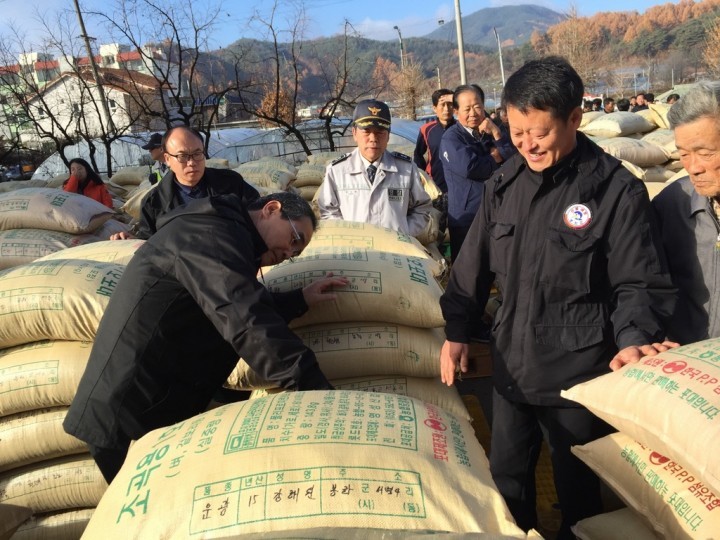 2015년산 공공비축미곡 매입 실시