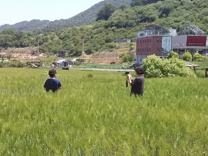 대전 대덕구 장동, 청보리단지 개방