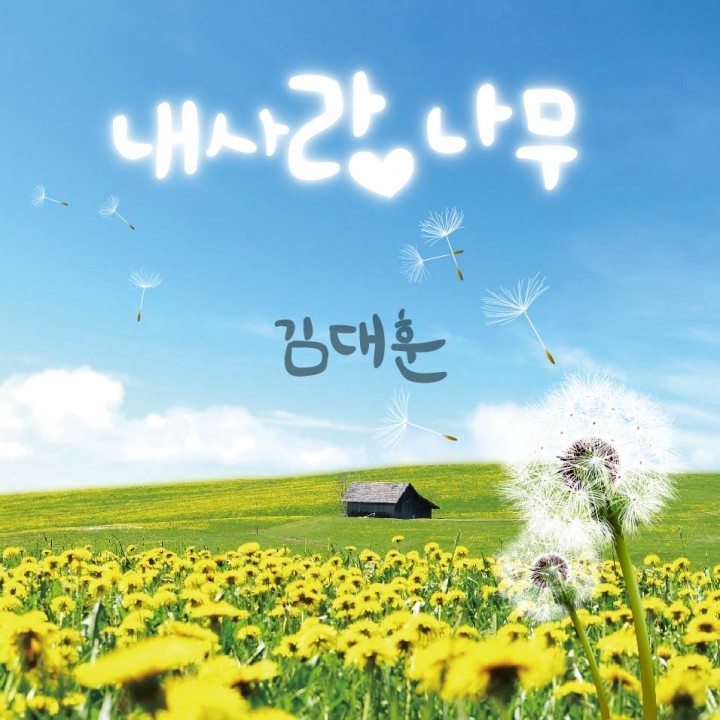  가수 김대훈 3집 내 사랑나무 발매