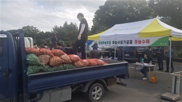의성마늘목장 사료가공용 의성마늘수매