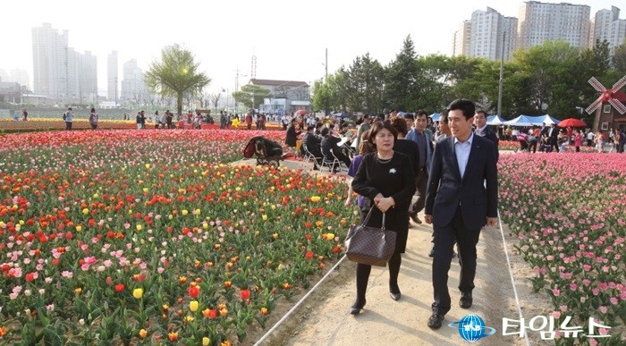 포항시 뱃머리마을 튤립꽃잔치 구경오세요
