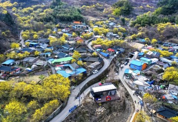 구례군, 산수유꽃축제 4년 만에 개최  
