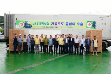 김천포도 세계인의 입맛을 사로잡다. 