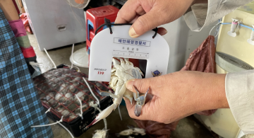 추석명절 전후 민생침해범죄 일제단속 