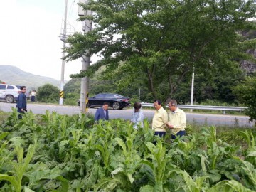 군위군, 고로면 우박 피해지역 현장점검