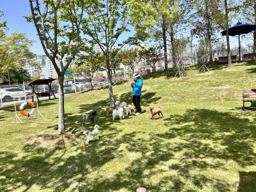 순천만정원박람회 반려견 돌봄서비스..