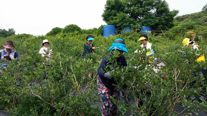 화성시, 이웃돕기로 소외감도 줄이고 지역경제도 살리고
