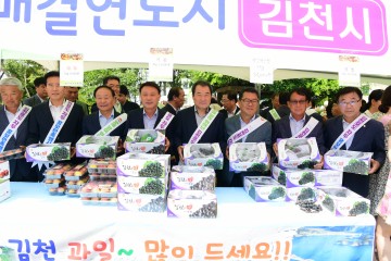 군산에서도 김천포도‧자두 인기 상승