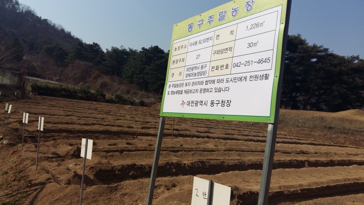 대전 동구, 도심 주말농장 개장!