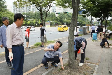 대전 서구, 추석 손님맞이 환경정비 총력
