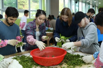  제44회 보성다향대축제가 ‘차茶소풍’ 과 함께 떠나는 보성 여행