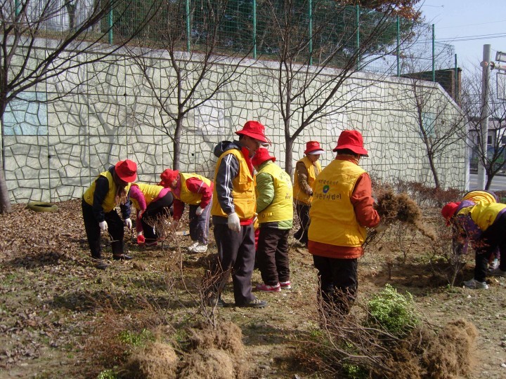 대전 서구, 2015년 노인사회활동 지원사업 확대 시행