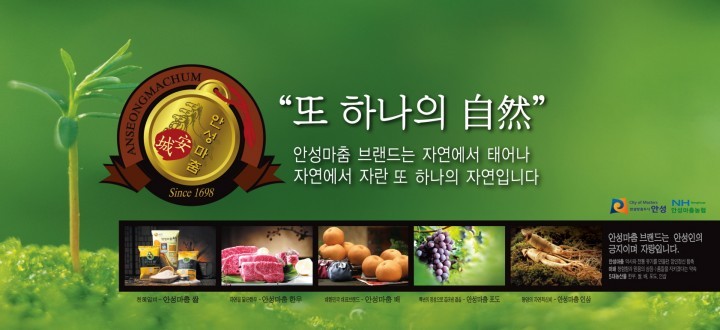 ‘안성마춤’ 9년 연속 퍼스트브랜드 대상 수상