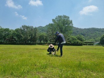 광주보건환경연구원, 5곳 잔류농약 안전성 조사…모두 검출 안돼  