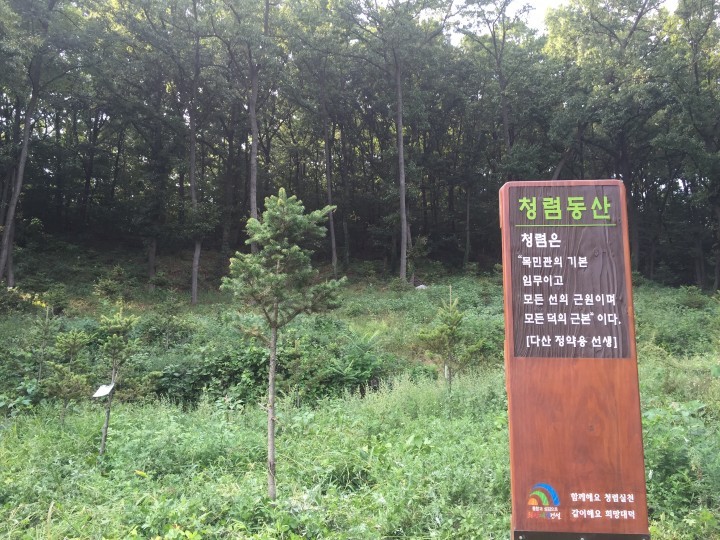 대전 대덕구, 청렴동산 푸르름과 함께 무럭!무럭!