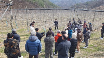 김천시, '2025년 미래형 사과 다축 재배 현장 교육' 실시