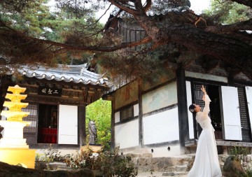 봉정사 전통산사문화재 천등산의 전설과 봉황을 품은 봉정사의 예술한마당