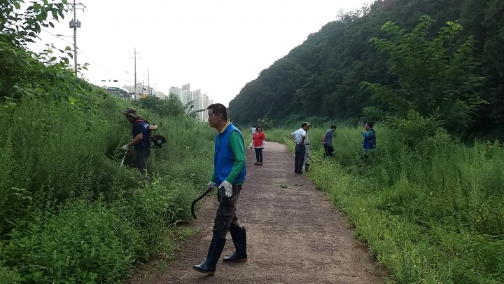생태교란 야생식물 제거 구슬땀