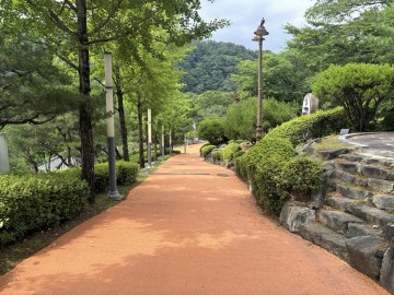 대전 중구, 뿌리공원 산책로 정비 완료…보행 안전성↑