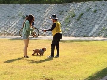 탄천 둔치에서 반려견 목줄 미착용  배설물 미수거 등 위반 사항 단속