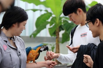 대전오월드, 버드랜드(Bird Land) 29일 개장