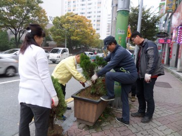 수곡2동 수곡사거리 황금측백나무 24그루 식재 사계절 화단 조성