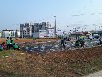 충주 새마을회 용산동 가전제품 지원, 대소원면 고구마 식재, 칠금금릉동 집수리 봉사