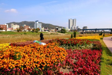 ‘노잼 도시’에서 ‘꿀잼 청주’로… 민선8기, 시민의 일상에 문화를 입히다