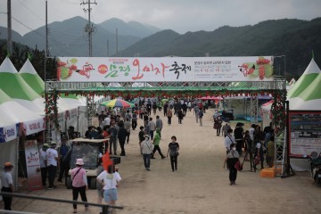 문경시, '제19회 2023년 문경오미자축제' 15일 개막