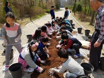 세종시, 식목일 맞아 무궁화 화분 담기 진행