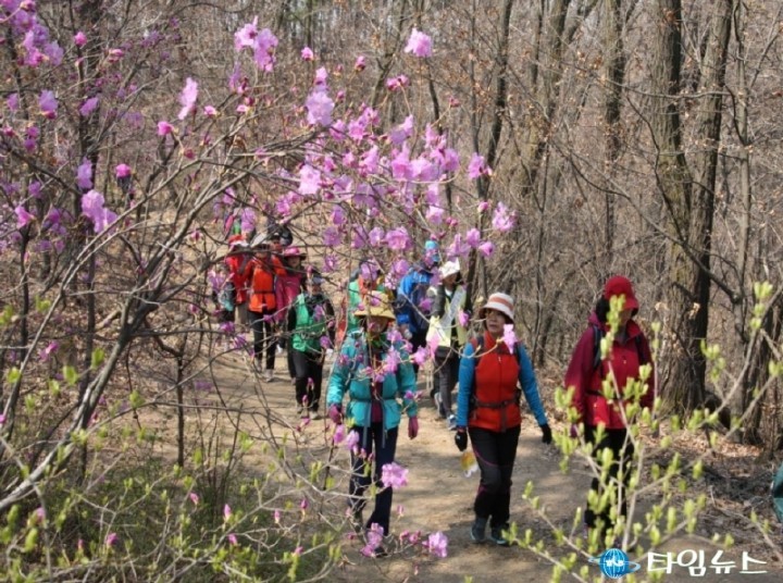 의왕시, 11일 두발로데이 행사 개최 