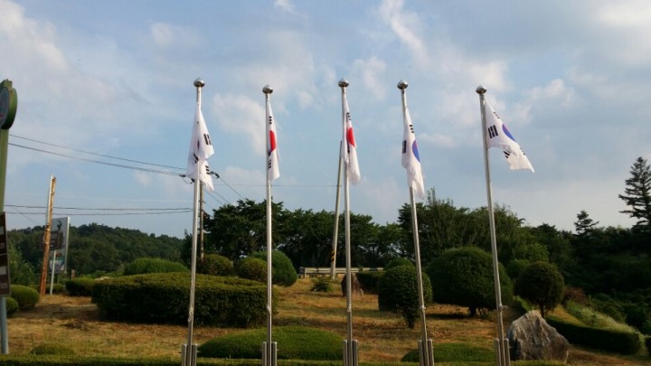 유천면, 태극기 사랑운동 활발하게 전개
