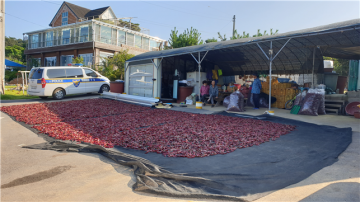고추 수확기 새벽에 농가 창고 침입, 말린 고추를 절취한 절도범 검거