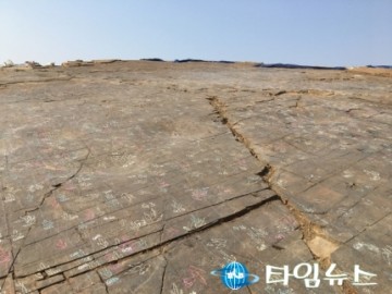 진주 산단 공사중 발견된 1만개 공룡발자국... '현지 보존'