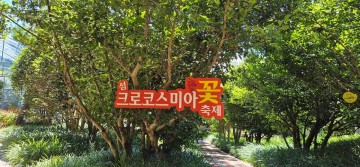 신안군, ‘섬 크로코스미아 꽃 축제’ 막 내려  