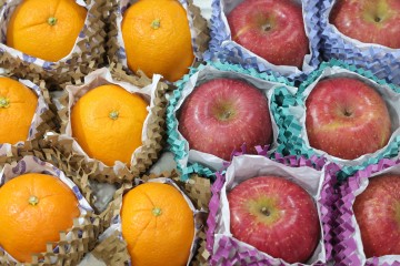 “비닐 한 장이 무섭다”... 나프타 폭등에 소상공인 ‘포장재 비명’