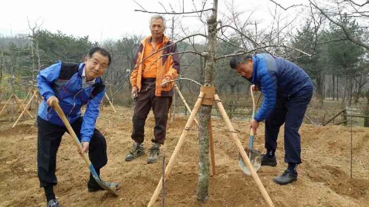 밀양 얼음골사과나무 서울대공원에‘터’를 잡다