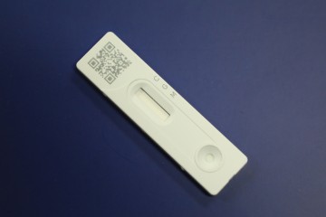 임산부 안심 자가검사키트 일괄지급하는 고양시