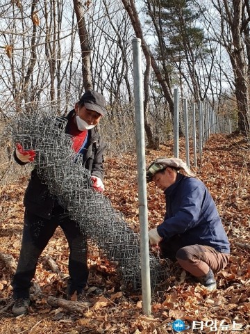 무공수훈자회 충북지부 봉사단, 산양삼 재배농가 일손돕기 봉사로 구슬땀