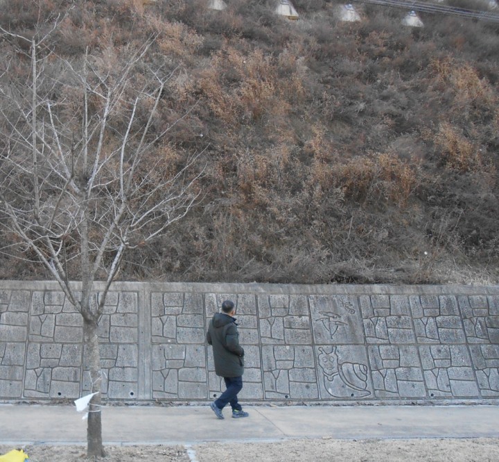 대전 중구, 해빙기 안전점검 나선다!