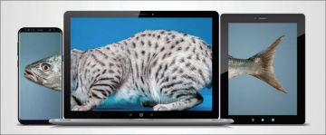 태안군 공보실, 특정언론 군수찬양 심각한 수준, 언론사와 카르텔 의심.. 