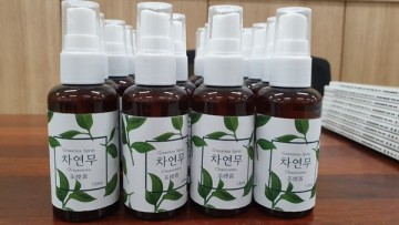 녹차 추출물로 마스크 필터 개발 성공한 보성군