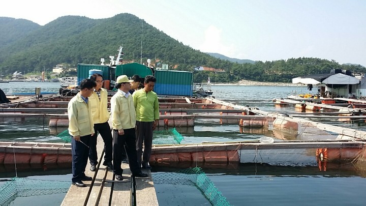 이채건 고성군수 권한대행, 적조현장 방문