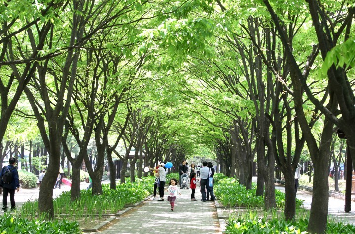 대전 서구, ‘지구의 날’ 기념 다양한 시민참여 행사 개최