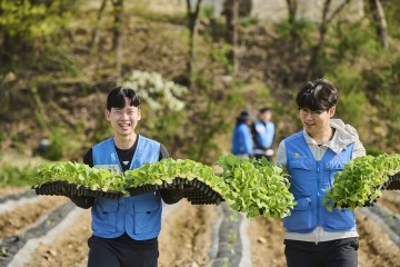KT&G, 잎담배 농가 ‘모종이식 일손돕기’ 봉사활동