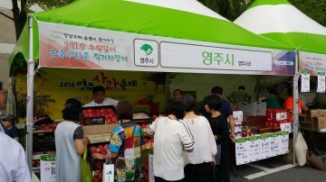 추석맞이 직거래장터 영주시 전국 입맛 사로잡아~
