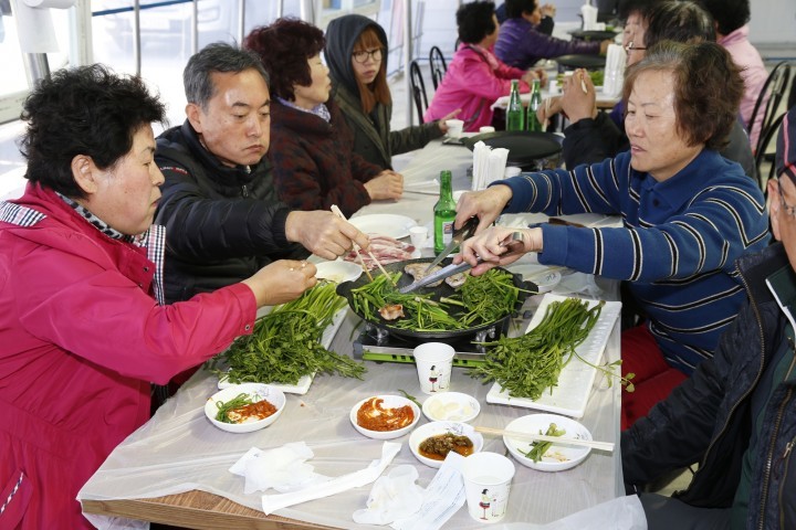 향긋한  봄의 전령사, 상주청정 미나리 첫 출하!!